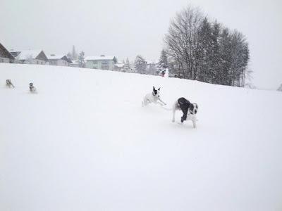 Unser Winterurlaub Teil 2 - Achenkirch/Achensee und Fuschl/See