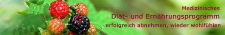 Diät- und Ernährungsprogramm im Test von helenas-diätshop.de