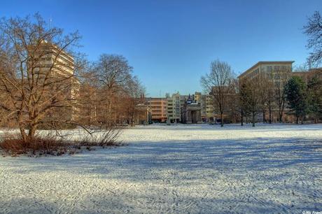 Winterspaziergang im Kleistpark