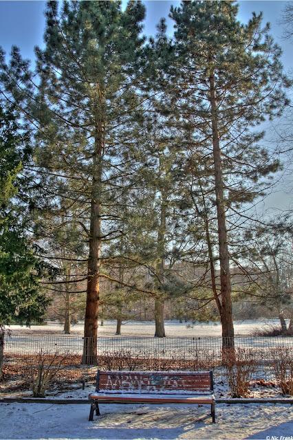 Winterspaziergang im Kleistpark