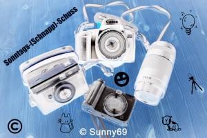 Sonntags-(Schnapp)-Schuss Nr. 7