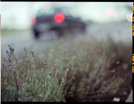 1Frame [4]