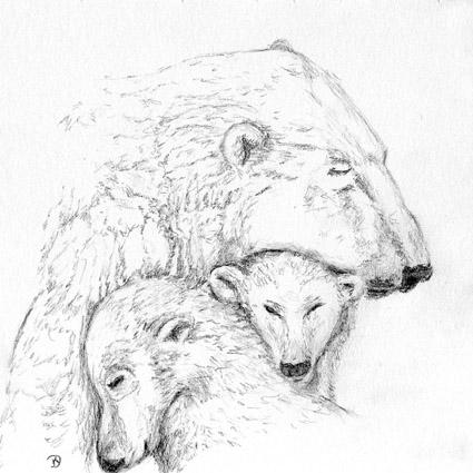 Eisbären - Mutter mit Jungen (20.04.2008)