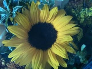 Sunshine