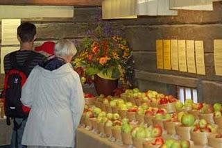 Äpfel und andere Früchte im Botanischen Garten in Göteborg