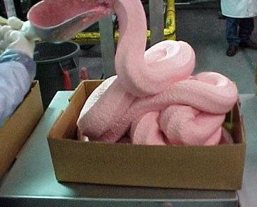 Was ist rosa und riecht nach Hühnchen?