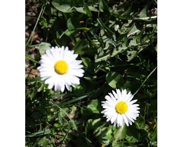 Prüfe alles und das Gute behalte!