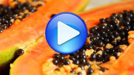 Exoten-Check: Die Papaya [mit Video]