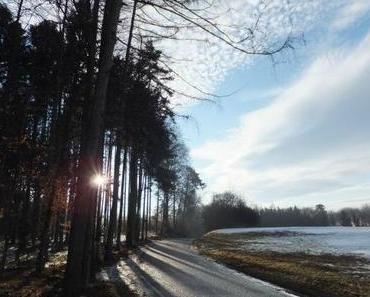 Der Frühling hat uns besucht....