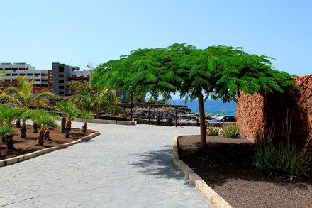 Gartenanlage - Clubhotel RIU Buena Vista