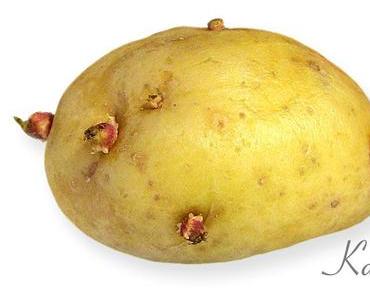 [Kindermund] Kartoffelaugen