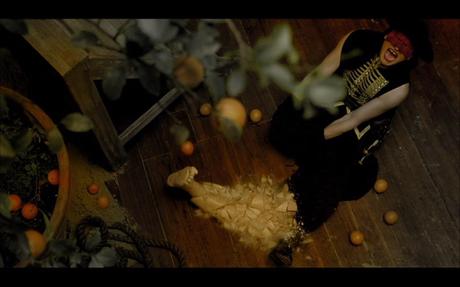 THE FALL [2006]
