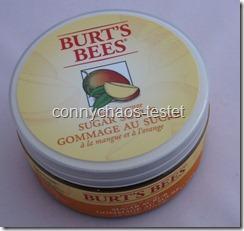 Burt’s Bees Sugar Scrub