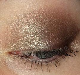 AMU: C’Mon Chameleon Reloaded