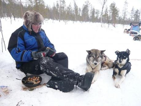 Husky-Safari in Finnland: Über allen Gipfeln ist Ruh…