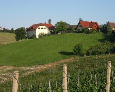 Verkostung Weißwein – Weingut Pilch – Sämling 88 (Scheurebe) Oberranzried