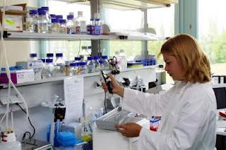 Bio-Tech-Region Regensburg: Forschung für die Medizin von morgen
