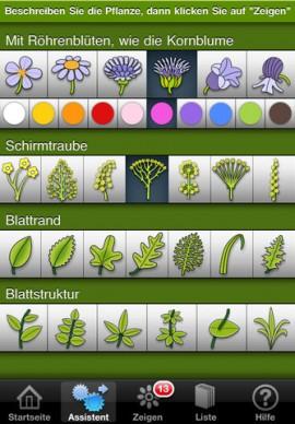 iBlumen – für alle Naturliebhaber 1371 Wildblumen auf dem iPhone stark preisreduziert