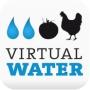 Virtual Water