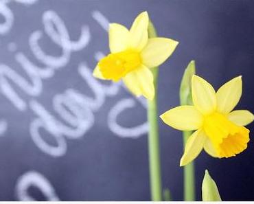 Sneak Peak - neus DIY