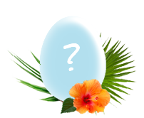 Ich verstecke ein Osterblogger-Ei