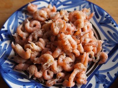 Frühlingsküche - Pasta mit Spargel und Brown Shrimp (Nordseekrabben)