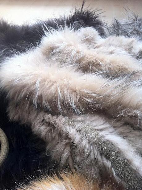 Feeling every shade of... fur