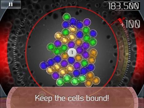Cell Bound™ – Kombiniere kleine Zellen in einem großen Zellkern