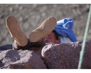 Schweigen im Terrorwald