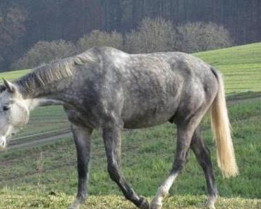 Neues aus dem Kindergarten