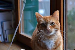 Erst seit ca. 1 1/2 Monaten fotografiere ich