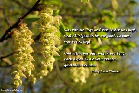 Zitat: Henry David Thoreau über Selbstentfaltung