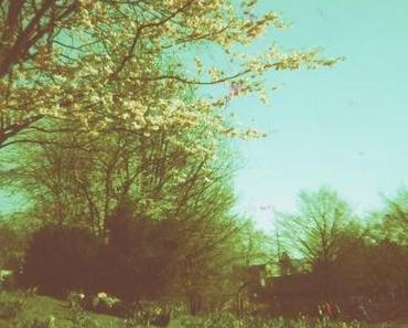 talking about butterflies in my head