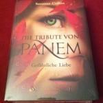 Von Gutscheinportalen, Büchern und Knalltüten