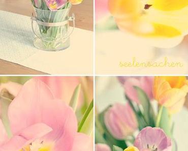 kunterweiß & schneebunt. oder so.