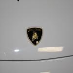 Motomotion Lamborghini Logo Emblem