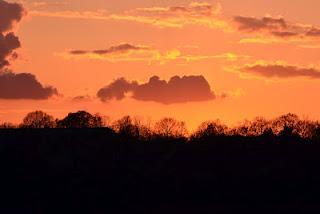 "Äh, hmm? Jaa, genau."Er grinste. Was für schöne Blau-Tön...