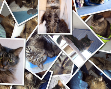 Happy Birthday, Pascha! ♥