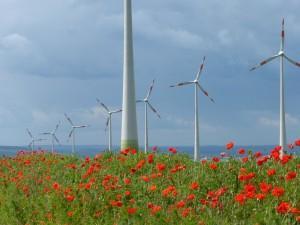 Windbranche kann Einspeisenetze schnell und kostengünstig umsetzen