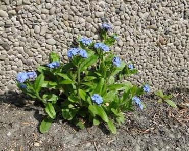 Durchsetzungsfähiger Optimismus