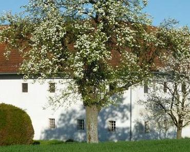 Heute bleibt die Küche kalt ...