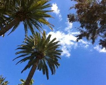 Frage-Foto-Freitag|Montag