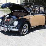 Bilder 5. VW Käfer Treffen in Orth an der Donau vom Marchfelder VW Käferclub Teil 2