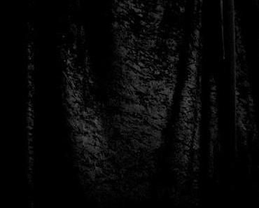wallpaper-1689754