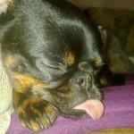 Still und starr ruht der See….Aber nur scheinbar, denn in der Tiefe brodelts! ;)