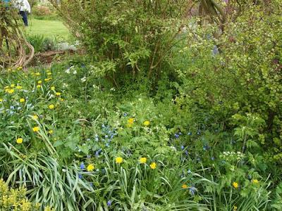 Great Brington - Frühlingsgärten