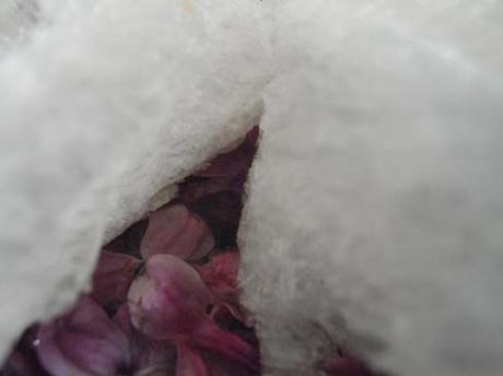 melted plastic in velvet blossoms: may 8