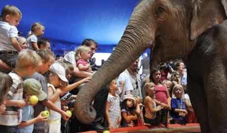 Elefanten Matinée: Berühren und füttern erlaubt!