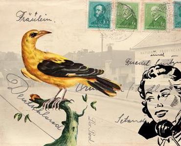 Vogelpost und eine Recyclingdiskette