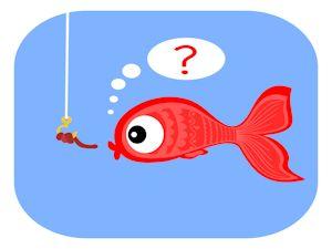 20120515 Artikel 16 groß Stinkt der Fisch? oder wie kommt Molli an die Angel?